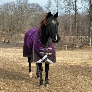 Meet your Posher, Allison